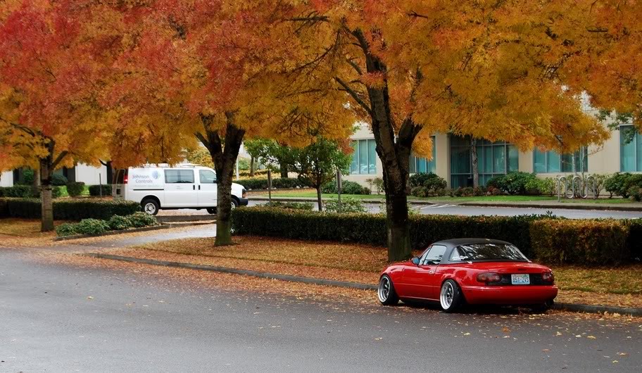 Name:  DSC_0008.jpg
Views: 48
Size:  149.9 KB