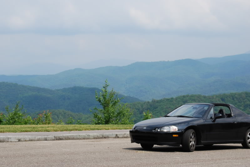 Name:  DSC_0155.jpg
Views: 73
Size:  57.0 KB