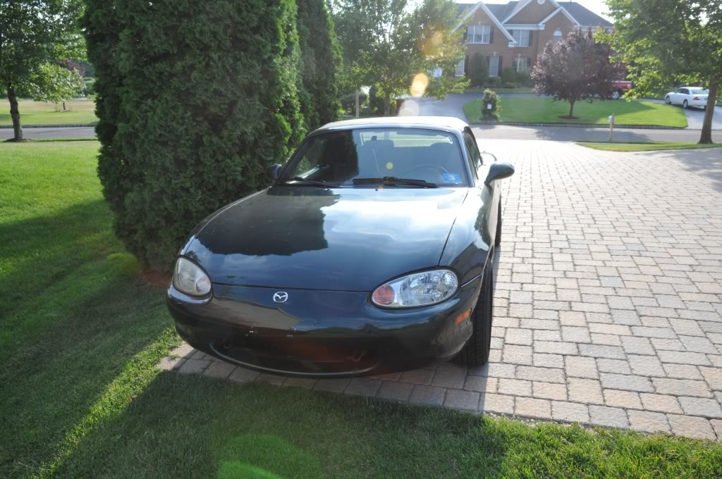 Name:  DSC_1363.jpg
Views: 54
Size:  141.2 KB