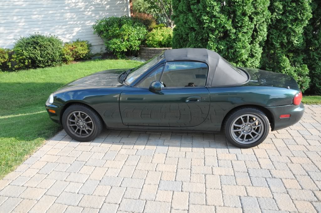 Name:  DSC_1362.jpg
Views: 46
Size:  187.4 KB