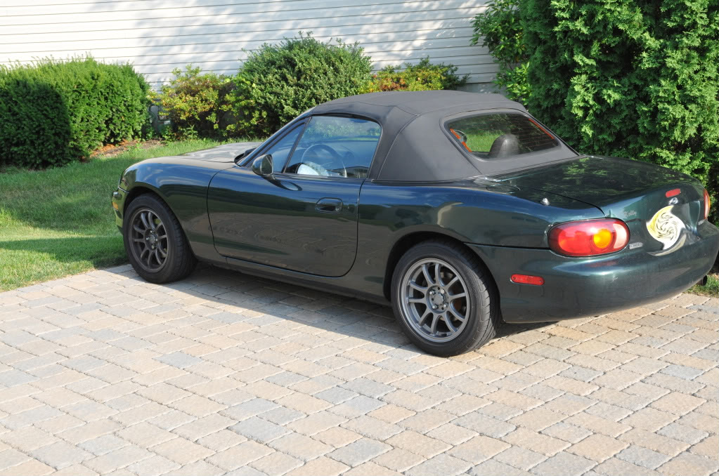 Name:  DSC_1361.jpg
Views: 45
Size:  200.0 KB