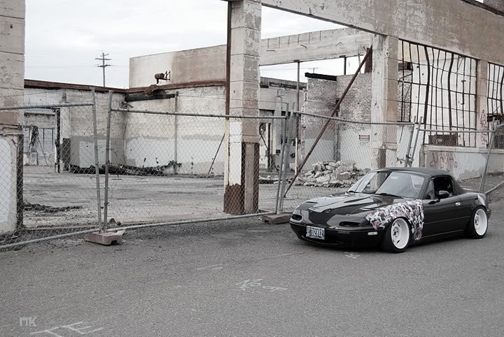 Name:  DSC_0003.jpg
Views: 54
Size:  110.0 KB