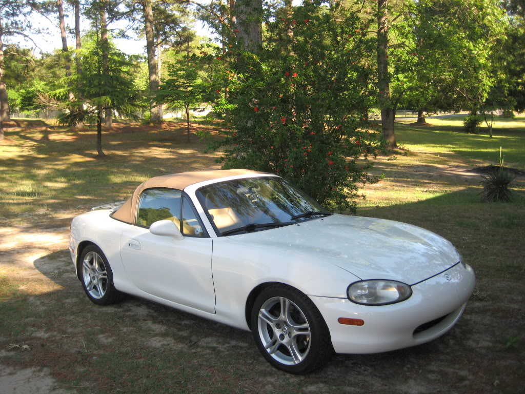 Name:  IMG_2993.jpg
Views: 41
Size:  235.6 KB