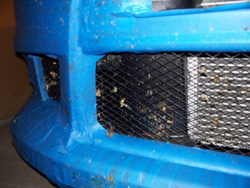 Name:  100_0223.jpg
Views: 66
Size:  90.5 KB