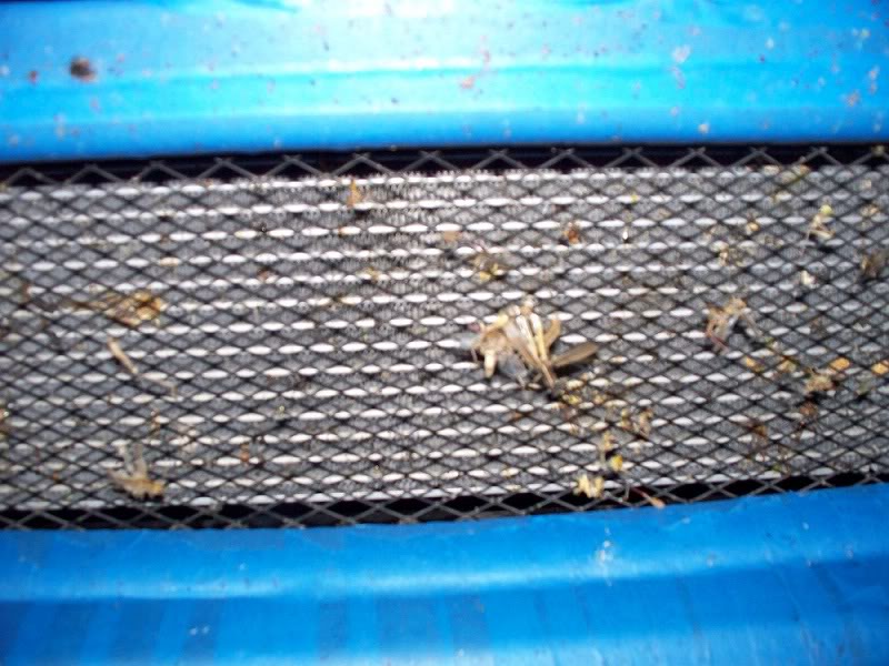 Name:  100_0222.jpg
Views: 65
Size:  104.9 KB