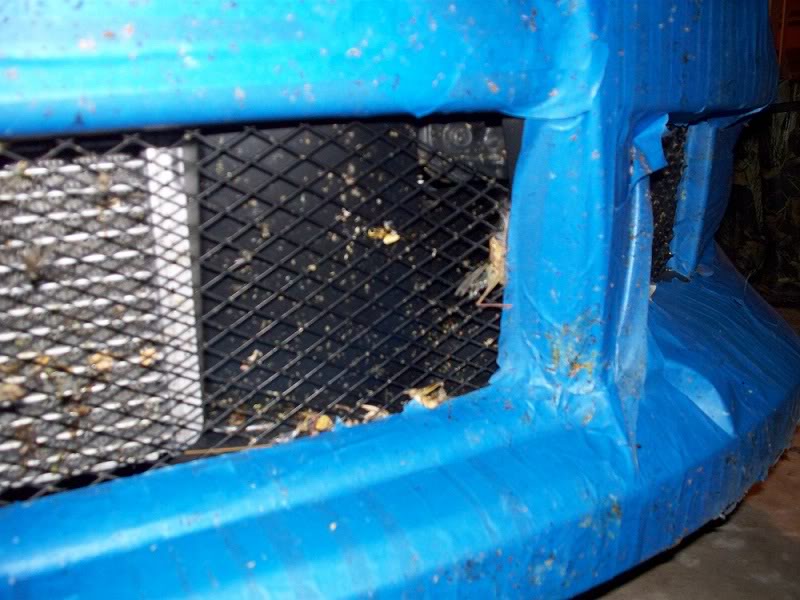 Name:  100_0221.jpg
Views: 60
Size:  90.1 KB