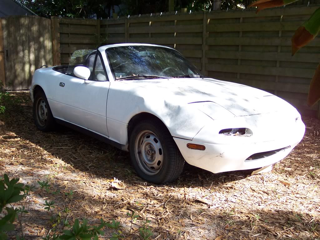 Name:  100_2483.jpg
Views: 206
Size:  192.1 KB