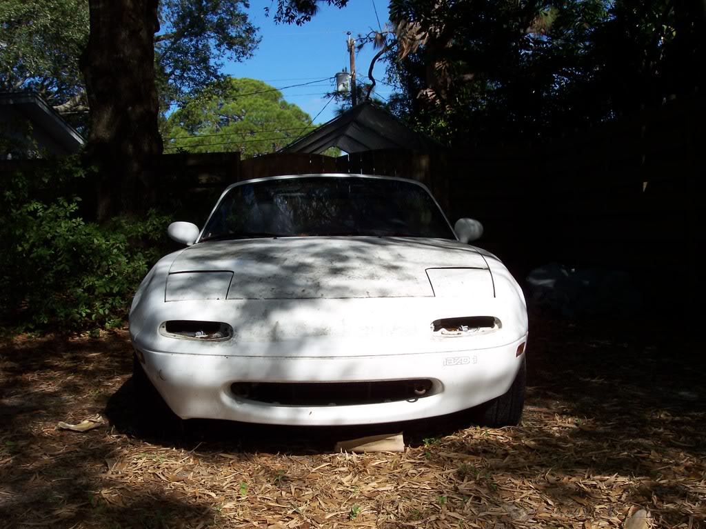 Name:  100_2482.jpg
Views: 205
Size:  157.3 KB