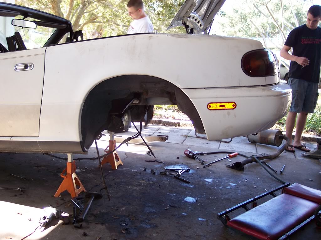 Name:  100_2500.jpg
Views: 190
Size:  138.7 KB