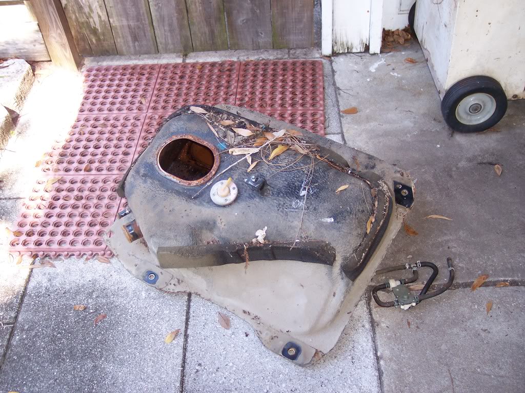 Name:  100_2515.jpg
Views: 194
Size:  210.3 KB