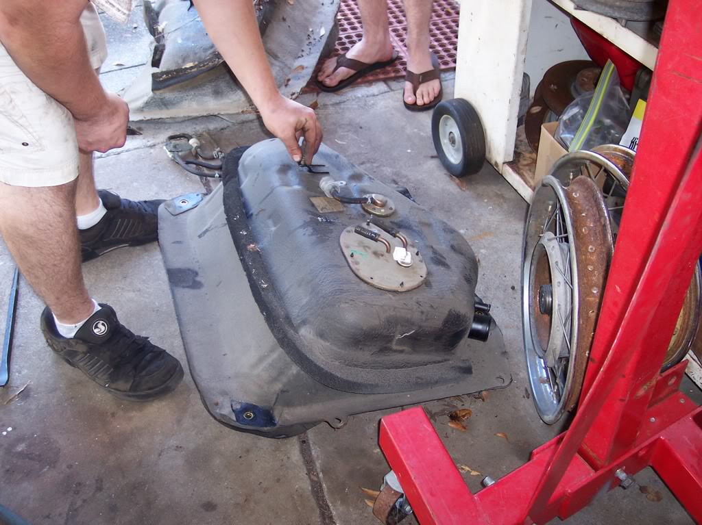 Name:  100_2504.jpg
Views: 202
Size:  146.0 KB