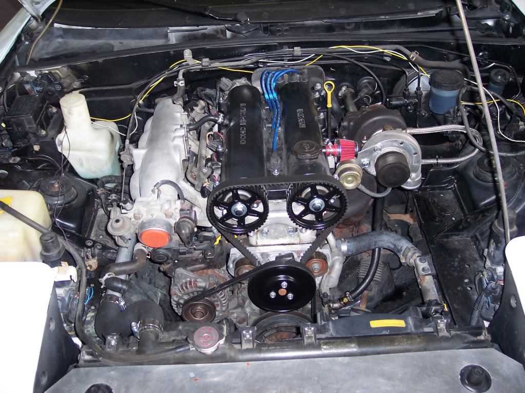 Name:  100_3271.jpg
Views: 231
Size:  183.0 KB