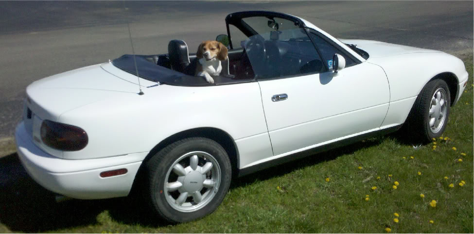 Name:  1a9461ed.jpg
Views: 49
Size:  91.0 KB