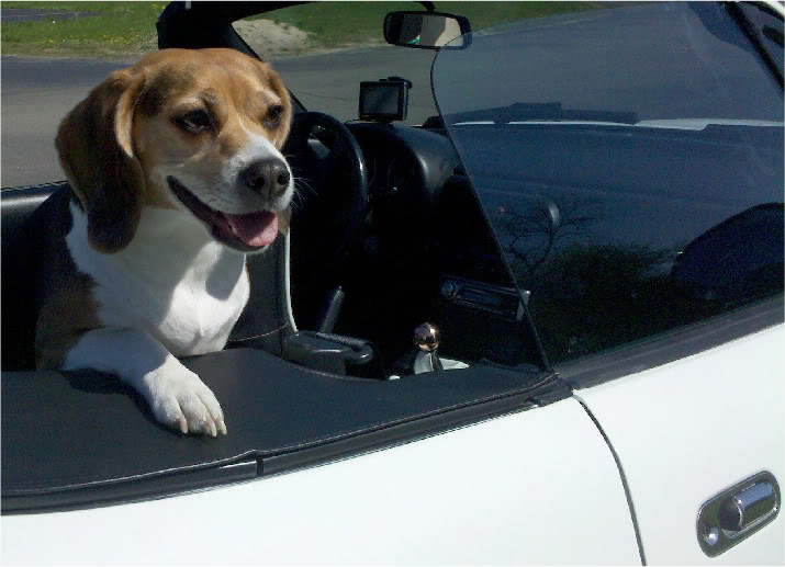 Name:  85c25585.jpg
Views: 55
Size:  71.3 KB