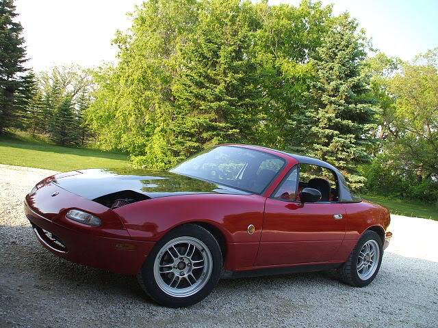 Name:  999_FUJI-DSCF0733_DSCF0733.jpg
Views: 52
Size:  104.5 KB