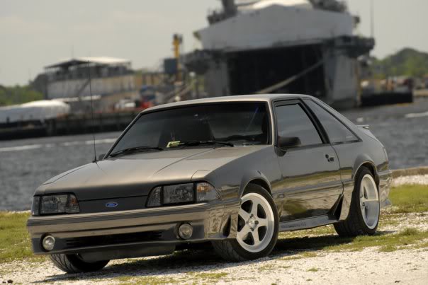 Name:  mustang8.jpg
Views: 47
Size:  37.2 KB