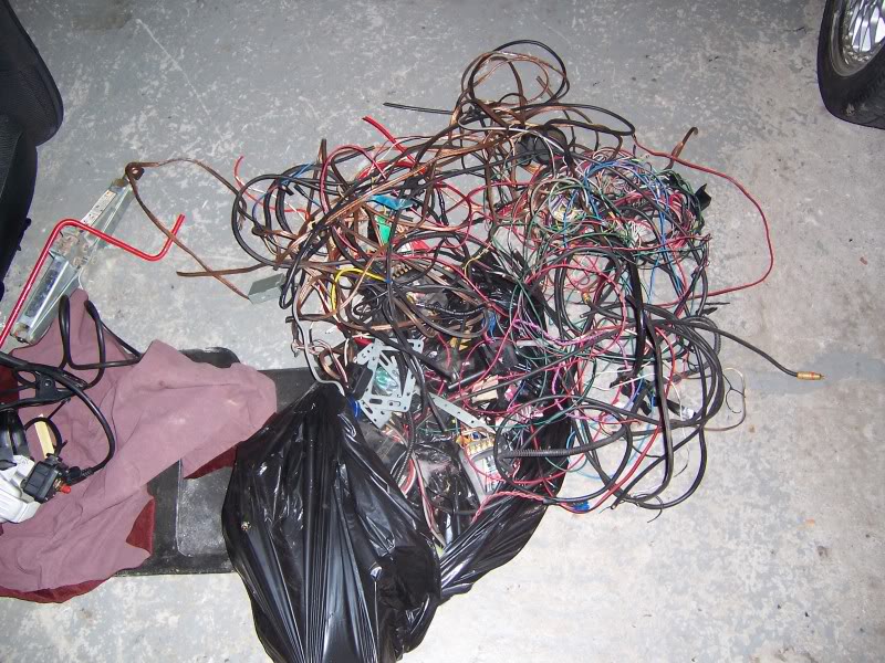 Name:  100_1203.jpg
Views: 33
Size:  140.0 KB