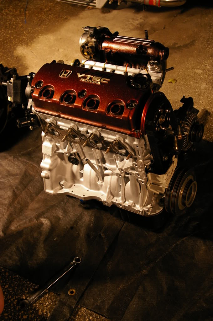 Name:  IMGP3242.jpg
Views: 52
Size:  187.1 KB