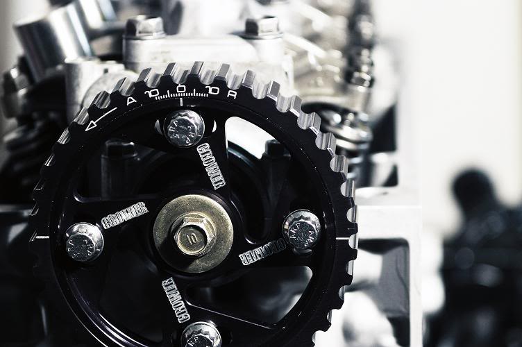 Name:  IMGP3176_re_sm.jpg
Views: 62
Size:  51.2 KB