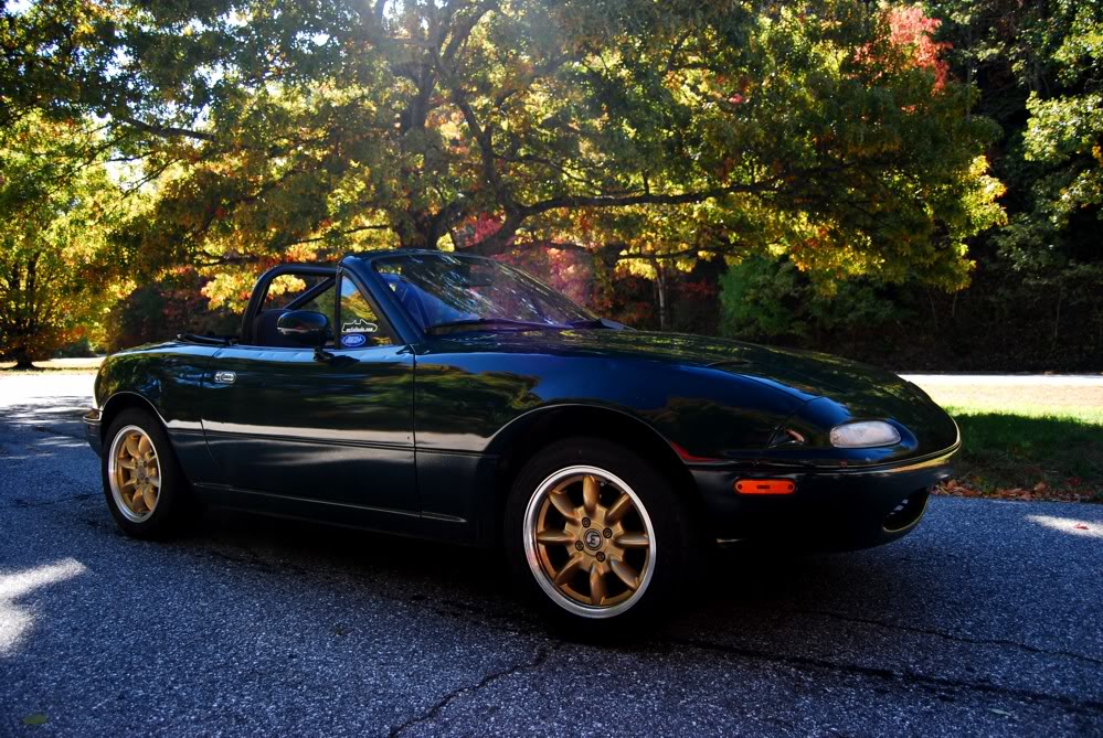 Name:  DSC_001922.jpg
Views: 49
Size:  240.6 KB