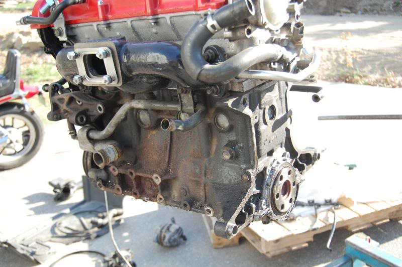 Name:  DSC_0172.jpg
Views: 40
Size:  78.3 KB