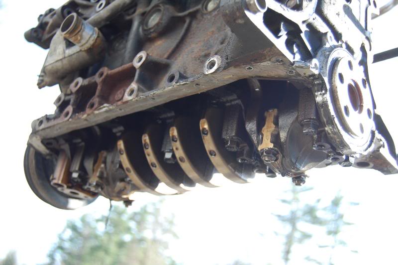 Name:  DSC_0175.jpg
Views: 40
Size:  60.4 KB