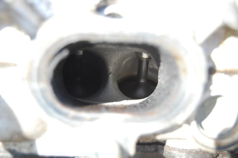 Name:  DSC_0174.jpg
Views: 39
Size:  33.1 KB