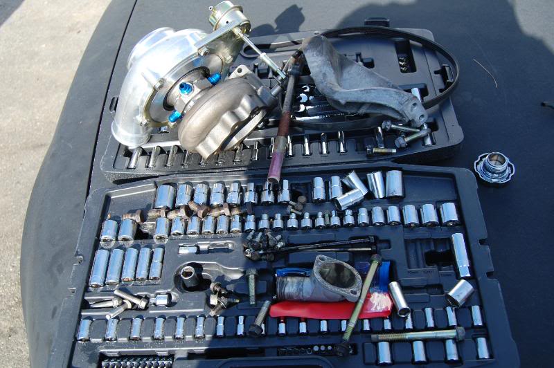 Name:  DSC_0165.jpg
Views: 40
Size:  89.4 KB