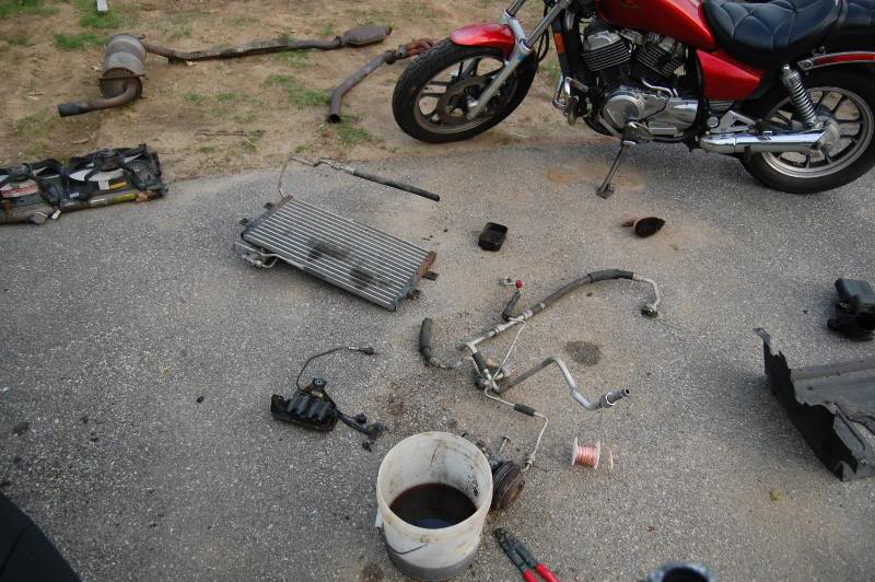 Name:  DSC_0142.jpg
Views: 40
Size:  100.1 KB