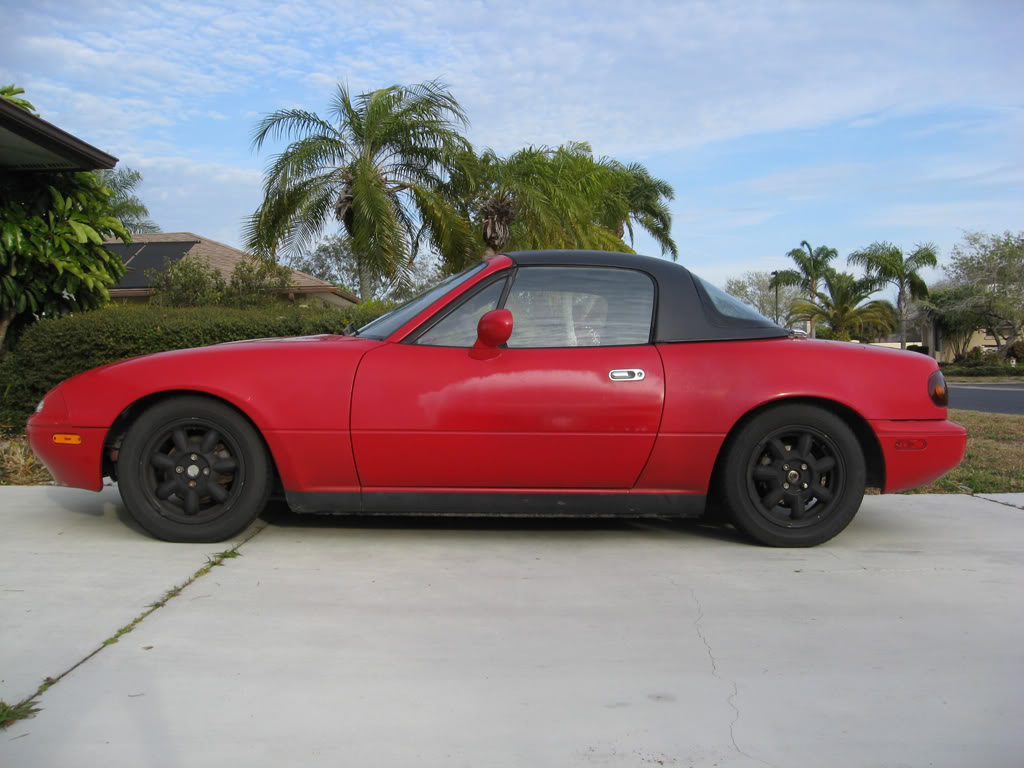 Name:  IMG_0245edit.jpg
Views: 45
Size:  113.3 KB