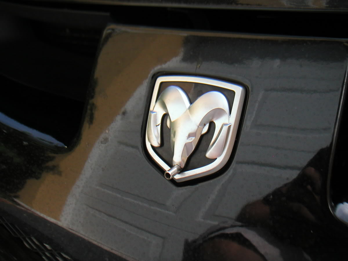 Name:  srts3038.jpg
Views: 79
Size:  70.2 KB