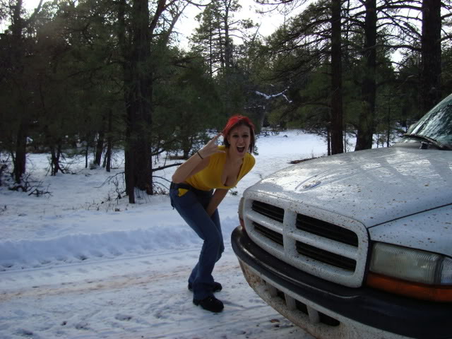 Name:  DSC00336.jpg
Views: 65
Size:  82.5 KB