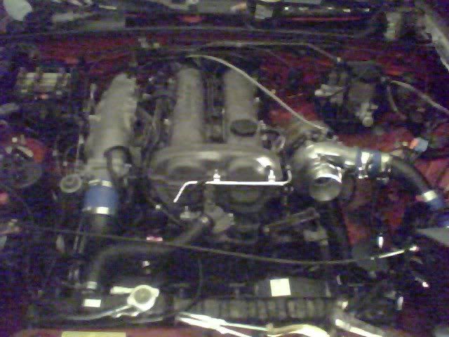 Name:  jessiesturbo.jpg
Views: 48
Size:  46.2 KB