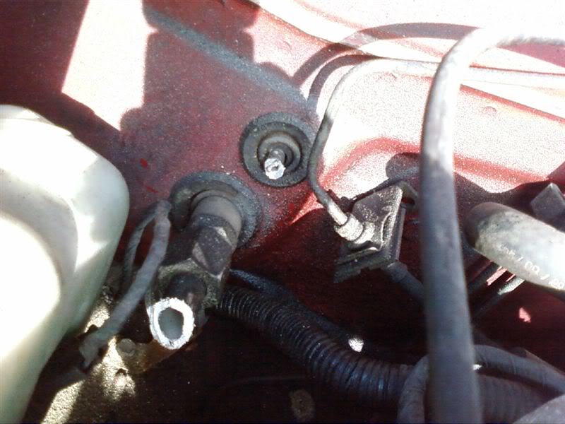 Name:  Photo0126.jpg
Views: 53
Size:  66.0 KB