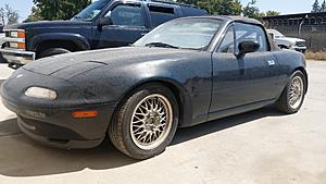 time to collect some kitty-imag2501.jpg