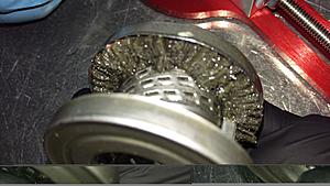 time to collect some kitty-imag0180.jpg