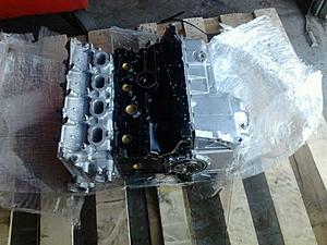 time to collect some kitty-part_1480355833700.jpg