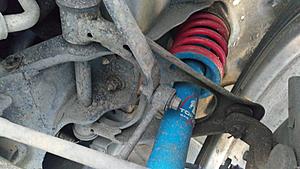 time to collect some kitty-imag1161-2-.jpg