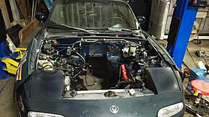 time to collect some kitty-imag0154.jpg