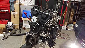 time to collect some kitty-imag0155.jpg