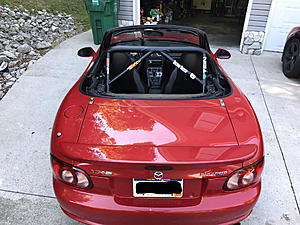 NOOB from Hurricane WV-img_2595-2.jpg