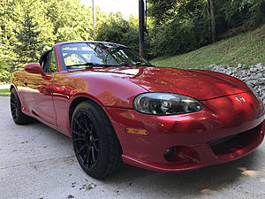 NOOB from Hurricane WV-img_2597-2.jpg