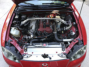 NOOB from Hurricane WV-img_2584-2.jpg