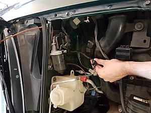 G'day from Western Australia - 1990 BRG-20170923_130617.jpg