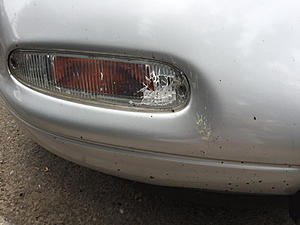 Long time lurker, First time story teller-photo5.jpg