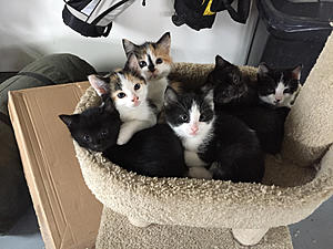 Long time lurker, First time story teller-photo246.jpg