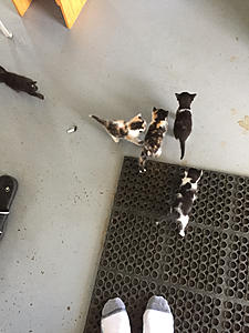 Long time lurker, First time story teller-photo624.jpg