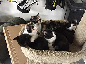 Long time lurker, First time story teller-photo46.jpg