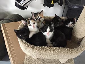 Long time lurker, First time story teller-photo215.jpg