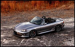 05 MSM looking for a new nose.-sweet-nb-1-.jpg